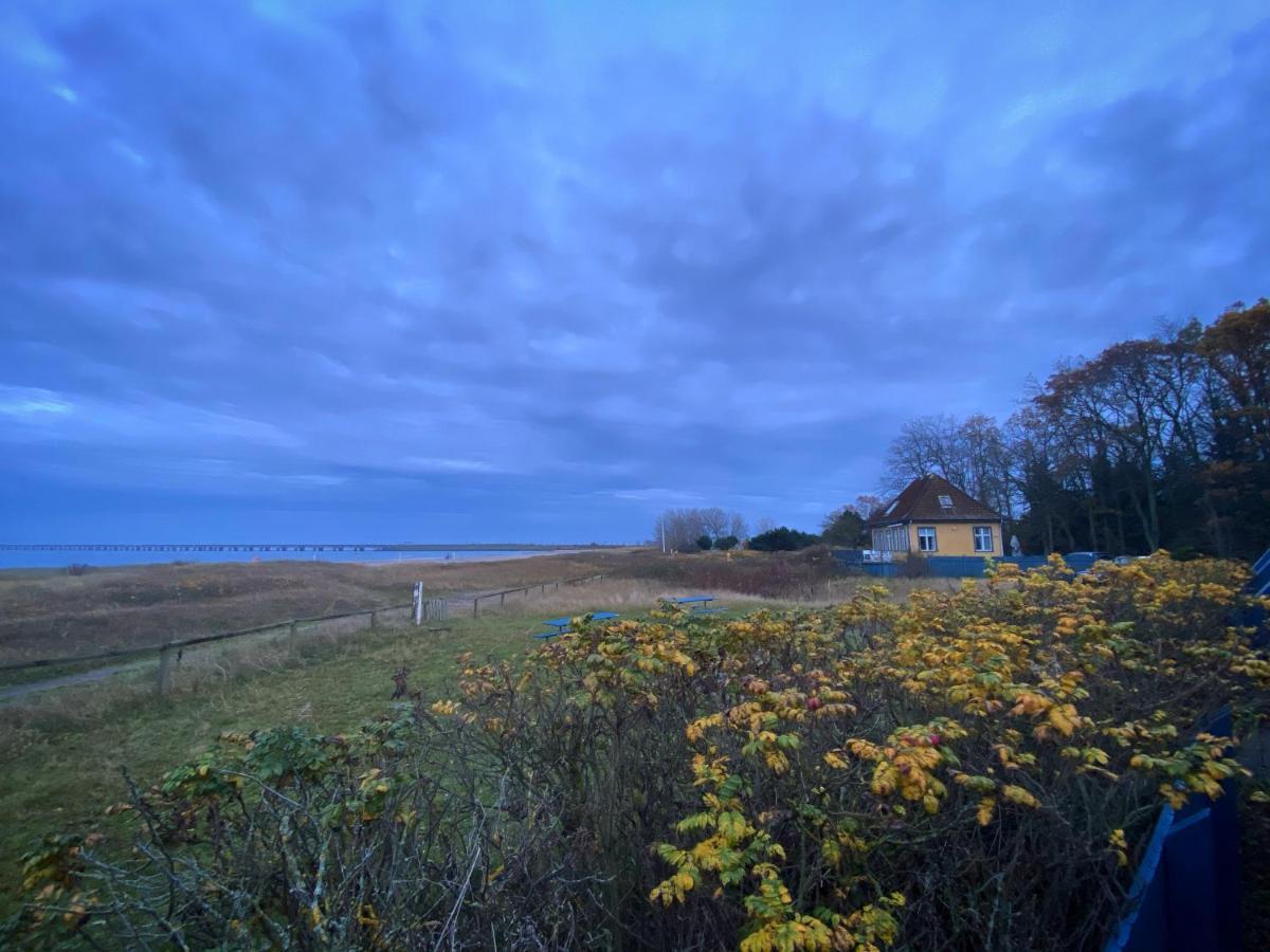 Skaerven Beachfront Apartments And Cottage Nyborg Eksteriør bilde