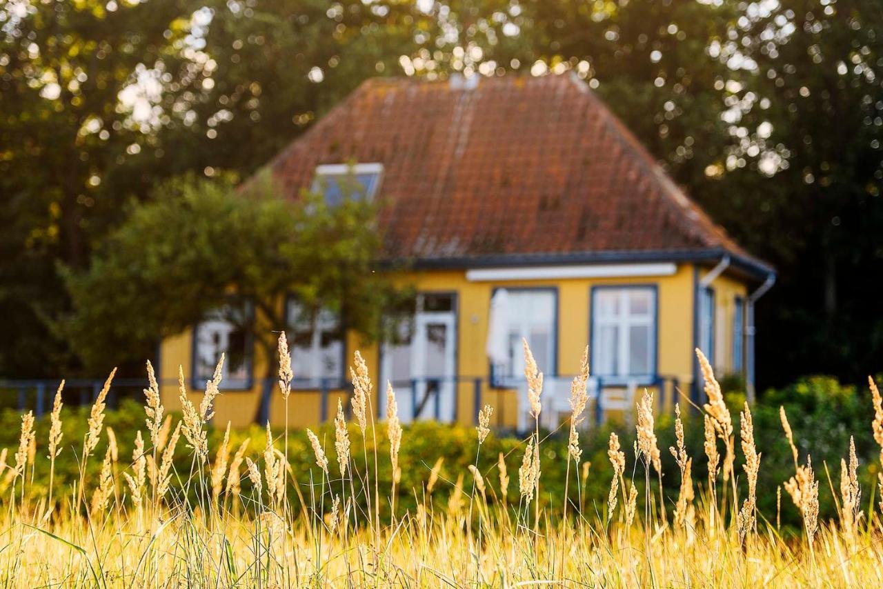 Skaerven Beachfront Apartments And Cottage Nyborg Eksteriør bilde